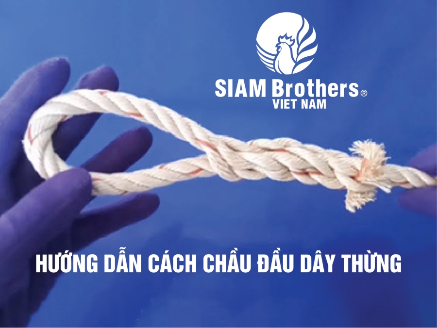 Sản phẩm chầu đầu dây 3 tao