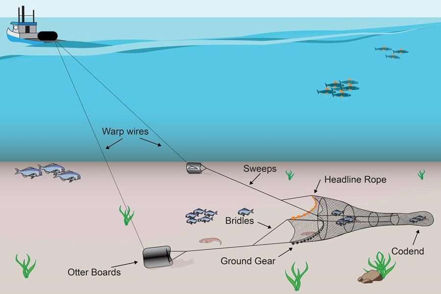Các phương pháp đánh bắt ngư nghiệp truyền thống và hiện đại và quản lý đánh bắt hiệu quả bền vững 