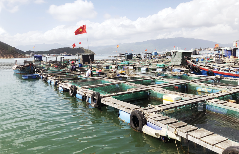 Khai thác thủy hải sản hợp lý - Phát triển ngành ngư nghiệp bền vững