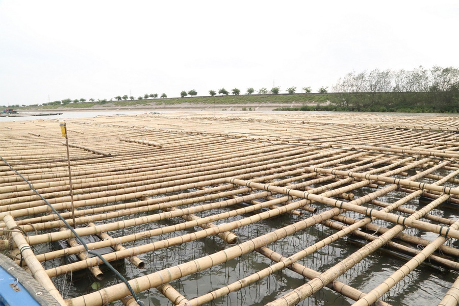 Lồng bè thủy sản bằng lưới khung tre