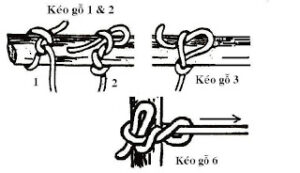 20 nút thắt dây thừng thông dụng