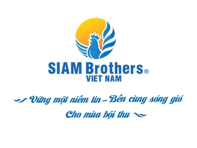 Shares of Siam Brothers Vietnam Joint Stock Company – stock code (HOSE): SBV on December 8, 2022