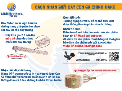 CÁCH PHÂN BIỆT DÂY THỪNG SIAM BROTHERS VIỆT NAM CHÍNH HÃNG