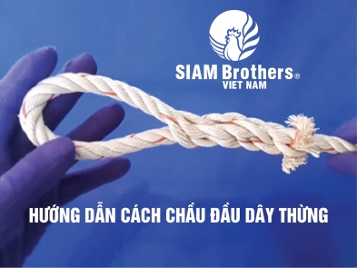 Hướng dẫn cách chầu đầu dây thừng 3 tao - 4 tao - 8 tao