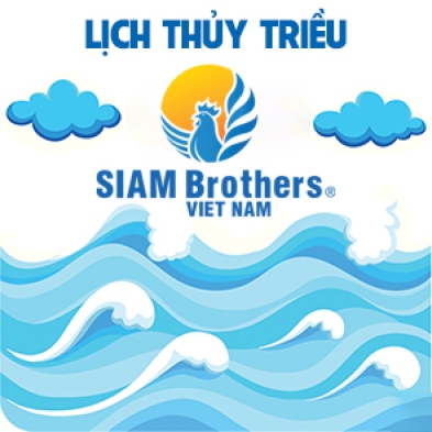 Lịch thủy triều 14/03/2023 (23/02/2023 âm lịch)