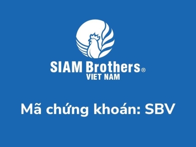Nghị quyết miễn nhiệm và bổ nhiệm kế toán trưởng công ty Siam Brothers Việt Nam