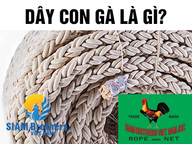 What is Cock Rope? Why is it trusted and widely used by Vietnamese fishermen and around the world?