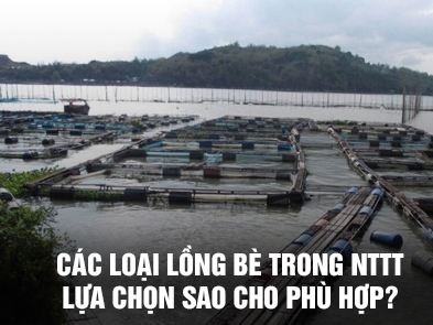 Các loại lồng bè trong nuôi trồng thủy sản phổ biến và lựa chọn sao cho phù hợp ?