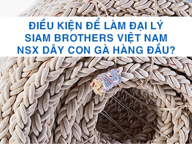 Điều kiện làm nhà phân phối của Siam Brothers Việt Nam - Nhà sản xuất dây con gà hàng đầu