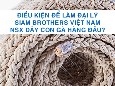 Distribution Partner Requirements of Siam Brothers Vietnam - Leading Cock Rope Manufacturer