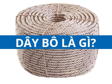 Dây bô là gì? Dây bô con gà, dây bô Thái từ đâu mà có?