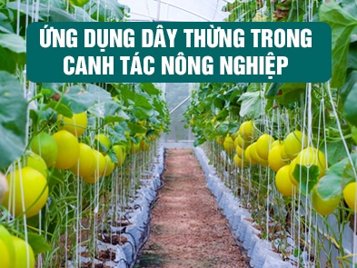 Ứng dụng dây thừng trong canh tác nông nghiệp