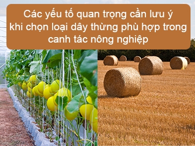 Các yếu tố quan trọng khi chọn loại dây thừng phù hợp trong canh tác nông nghiệp