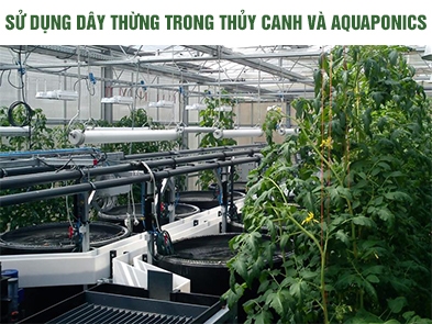 Using ropes in hydroponics and aquaponics systems