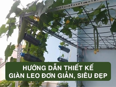 Hướng dẫn thiết kế giàn trồng cây leo đơn giản, siêu đẹp