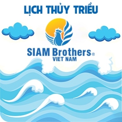 Lịch thủy triều 07/8/2023 (21/6/2023 âm lịch)