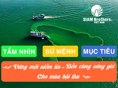 Vững một niềm tin - Bền cùng sóng gió - Cho mùa bội thu