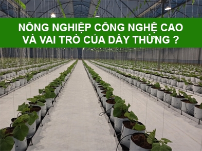 Nông nghiệp công nghệ cao là gì? Và vai trò của dây thừng trong quá trình này?