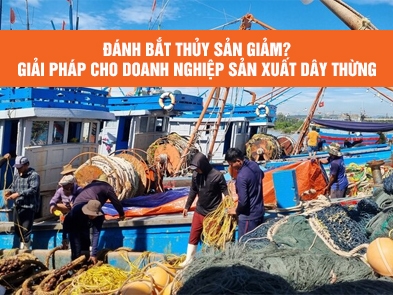 Đánh bắt thủy sản ở Việt Nam giảm? Lối đi nào cho doanh nghiệp sản xuất dây thừng đánh bắt
