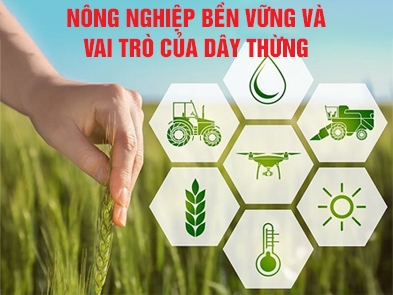 Nông nghiệp bền vững và vai trò của dây thừng trong quá trình này