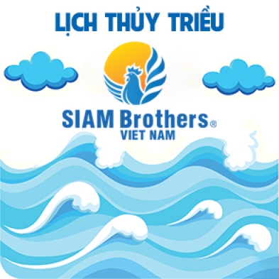 Lịch thủy triều 08/05/2025 (11/04/2025 âm lịch)