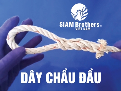 Dây chầu đầu: Dụng cụ đơn giản nhưng hữu ích