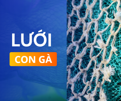 Lưới Con Gà