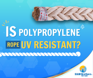 Dây Polypropylene Có Chịu Được Tia UV Không?