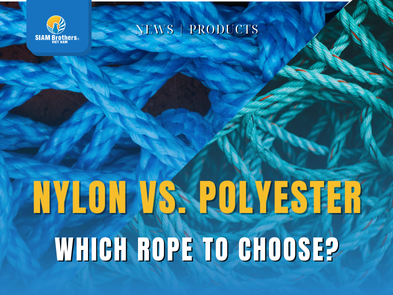  Dây Nylon và Dây Polyester: So Sánh Chi Tiết, Nên Chọn Loại Nào?