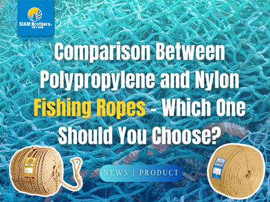 So sánh dây thừng đánh cá Polypropylene và Nylon – Nên chọn loại nào?