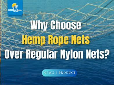 Vì sao nên chọn lưới bằng dây thừng thay vì lưới nylon thông thường?