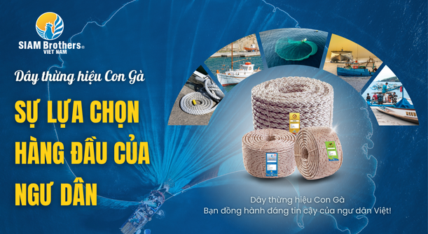 Câu hỏi thường gặp