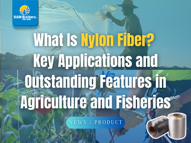 Sợi Nylon là gì? Ứng dụng và đặc tính nổi bật của sợi nylon trong nông ngư nghiệp