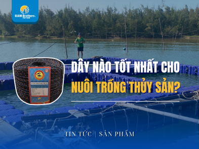 Dây nào tốt nhất cho nuôi trồng thủy sản? Bật mí Top 1 được ưa chuộng
