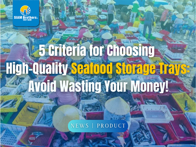 5 Criteria for Choosing  High-Quality Seafood Storage Trays:  Avoid Wasting Your Money!