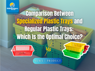 Comparison Between Specialized Plastic Trays and Regular Plastic Trays:  Which Is the Optimal Choice?