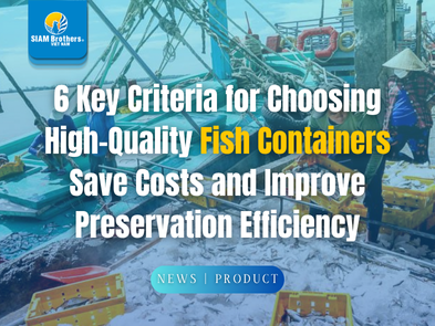 6 Key Criteria for Choosing High-Quality Fish Containers Save Costs and Improve Preservation Efficiency
