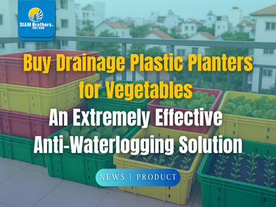 Buy Drainage Plastic Planters for Vegetables  An Extremely Effective  Anti-Waterlogging Solution
