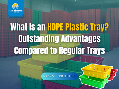 What Is an HDPE Plastic Tray? Outstanding Advantages Compared to Regular Trays