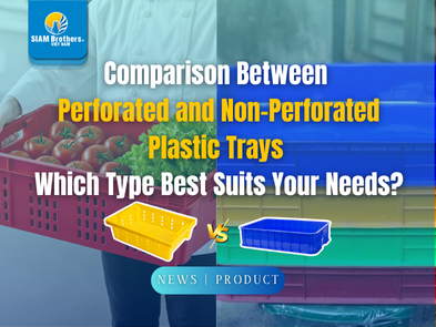 Comparison Between Perforated and Non-Perforated Plastic Trays  Which Type Best Suits Your Needs?