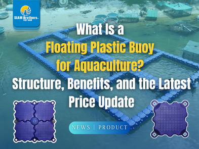 What Is a  Floating Plastic Buoy  for Aquaculture?  Structure, Benefits, and the Latest Price Update