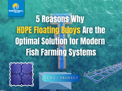 5 Reasons Why HDPE Floating Buoys Are the Optimal Solution for Modern  Fish Farming Systems