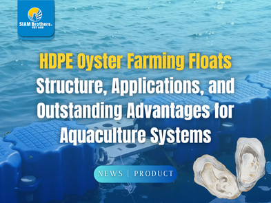 HDPE Oyster Farming Floats Structure, Applications, and Outstanding Advantages for Aquaculture Systems