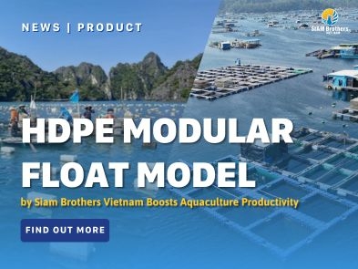 HDPE Modular Float Model by Siam Brothers Vietnam Boosts Aquaculture Productivity