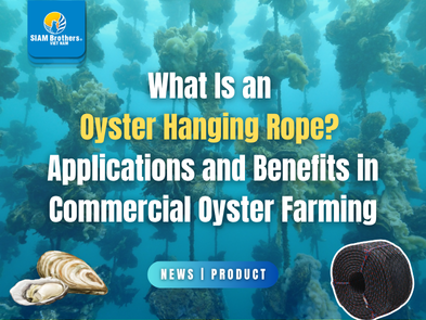What Is an Oyster Hanging Rope? Applications and Benefits in Commercial Oyster Farming