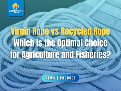 Virgin Rope vs Recycled Rope Which is the Optimal Choice for Agriculture and Fisheries?