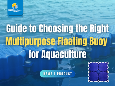 Guide to Choosing the Right Multipurpose Floating Buoy for Aquaculture