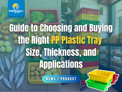 Guide to Choosing and Buying the Right PP Plastic Tray Size, Thickness, and Applications