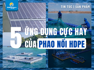 Phao nổi HDPE Đa Năng: Giải Pháp Bè Nổi, Sân Khấu, Cầu Phao Chuyên Nghiệp