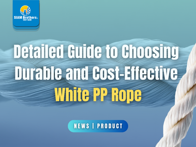 Detailed Guide to Choosing Durable and Cost-Effective White PP Rope